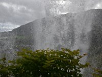 DSC 4530