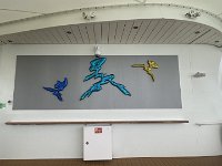 IMG 6402