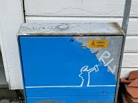 IMG 9862