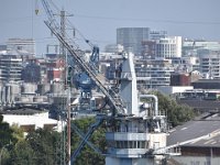 DSC 4480