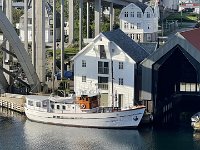 IMG 9134