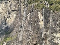 IMG 9276