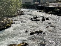 IMG 9330