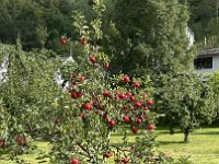 IMG 9349