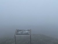 IMG 9441