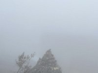 IMG 9448