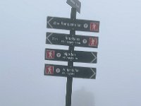 IMG 9455