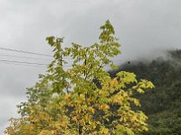 IMG 9499