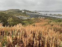 IMG 9590