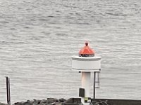 IMG 9689