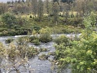 IMG 0005
