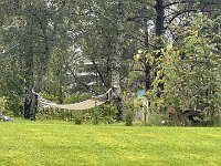 IMG 0099