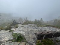 IMG 9991