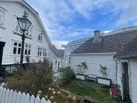 IMG 0262