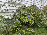 IMG 0263