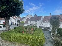IMG 0299