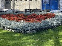 IMG 0361