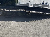 IMG 0379