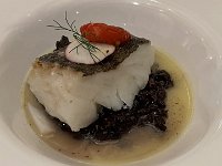IMG 0479
