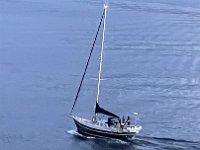 IMG 0519