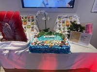 IMG 0547
