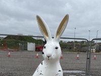 IMG 5641