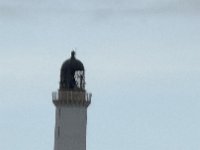 IMG 5646
