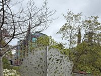 IMG 5705