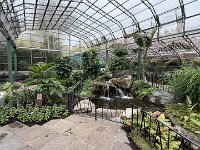 IMG 5751
