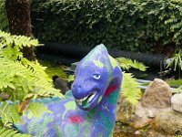 IMG 5762