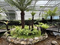 IMG 5796