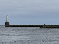 IMG 5903