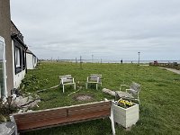 IMG 5906