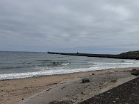 IMG 5915