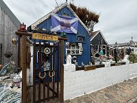 IMG 5919
