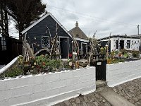 IMG 5921