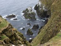 DSC 5487