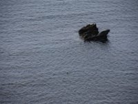 DSC 5573