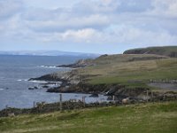 DSC 5581
