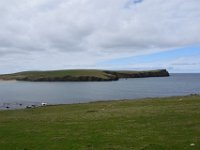 DSC 5582