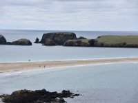 DSC 5590