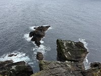 IMG 6014