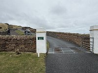 IMG 6107