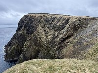 IMG 6109