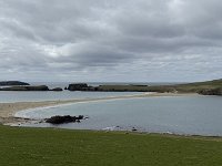 IMG 6231