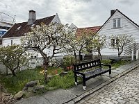 IMG 6338