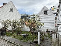 IMG 6340