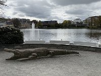 IMG 6353