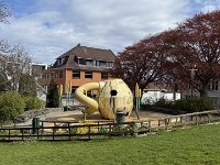 IMG 6413