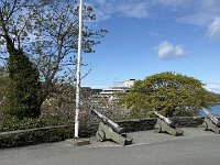 IMG 6442